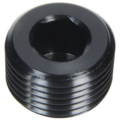 OCT 19-4980X_AllenPlug.jpg